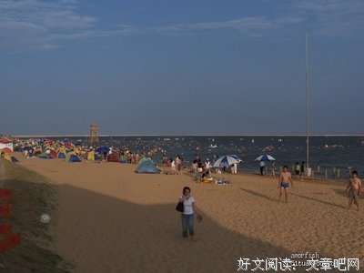 《金沙别墅》经典观后感有感