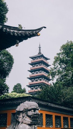 《唐朝的浮光与掠影》读后感100字