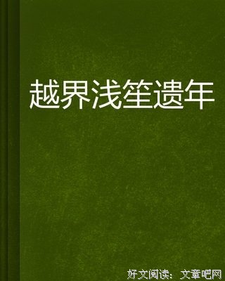 小说的越界读后感摘抄