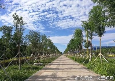 防风林的外边经典读后感有感