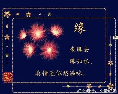 助手的自我修养读后感摘抄