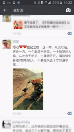 《亲吻世界》读后感100字