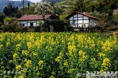 《万物之美》读后感100字