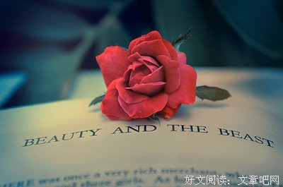 关于矢志不渝的唯美语录