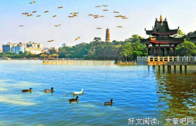 一叶忧伤经典名句