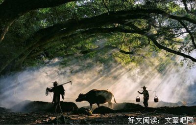 《人心如此》的句子