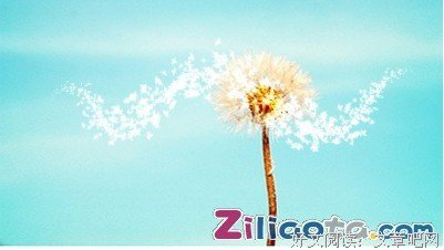 雨季的思绪、经典的句子