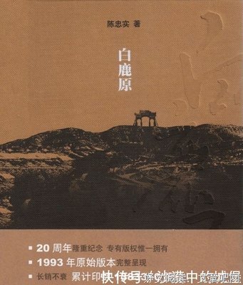 fell是一种感觉经典名句