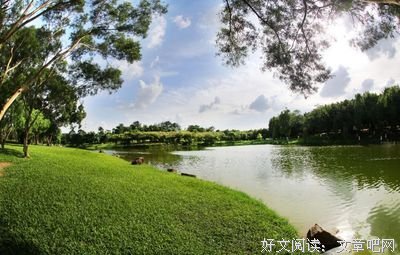 关于长夏名言大全