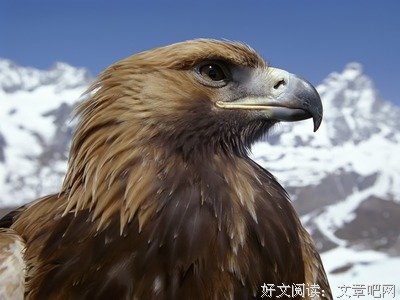 最全的《乐土》经典名句