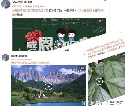 最全的《九歌》语录摘抄大全