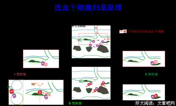 最经典的《于归》经典句子大全