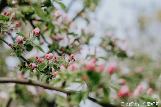 致自己：往事不言愁，余生不悲秋！ 