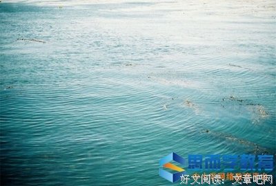寒冰纪往事读后感1000字