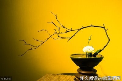 15条关于知己知彼的经典语句