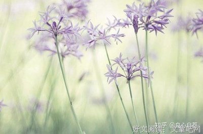 一鸣惊人的语句摘抄_关于一鸣惊人的语句
