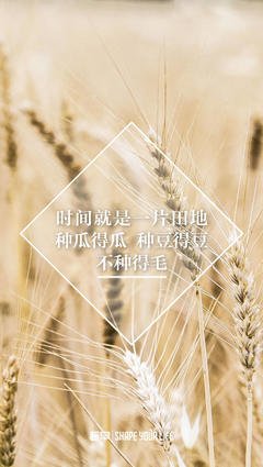 《西汉朝廷“大洗牌”》的读后感大全