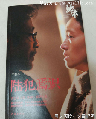 《入夜识》的读后感大全