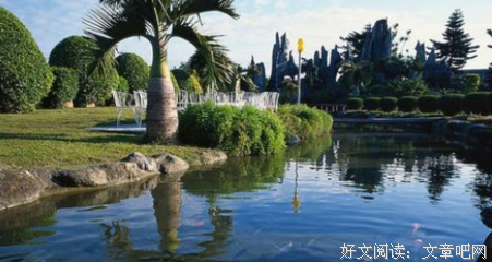 《造物小说家》读后感锦集