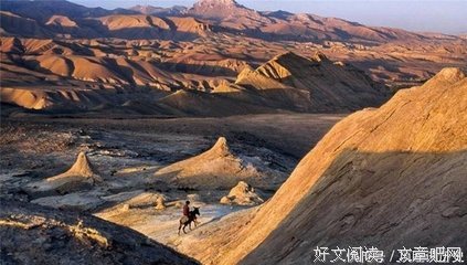 《帝国刺客》的观后感大全
