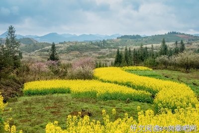 魂牵梦萦格言警句