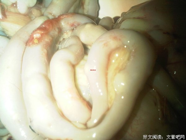 《神马都是浮云》经典影评集