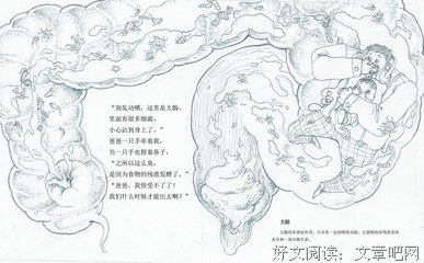 《人体奥秘》的影评大全