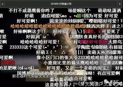“文物人”与“人文物”的读后感大全