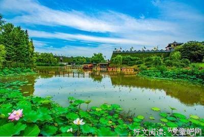 有关丽句的句子