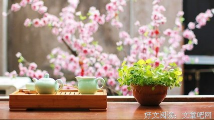《梦想的翅膀》的句子