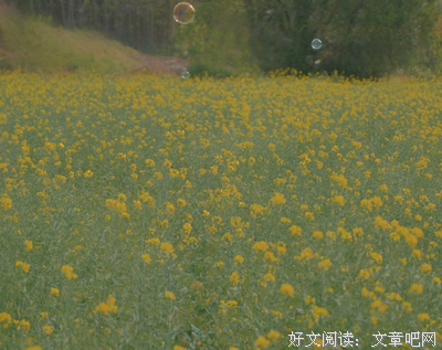 洒脱句子
