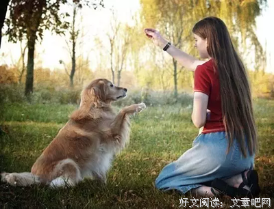 人性，狗性，狼性（深刻）