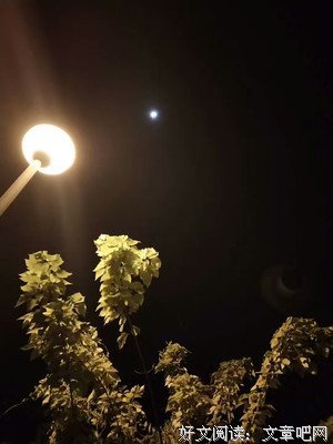 关于°半夏半晴半流年、っ的优美句子
