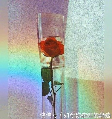关于心灵震撼的优美句子