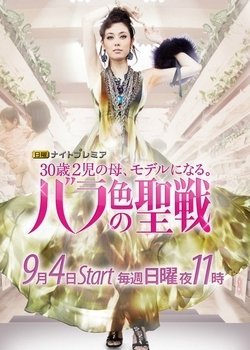 《玫瑰色的圣战》经典观后感集