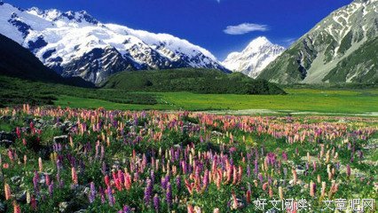 《与鲸共生：海豚湾太地町的六个月》经典影评1000字