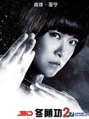 《冬荫功2：拳霸天下》经典观后感有感
