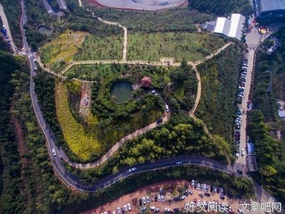 《光荣大地》影评精选