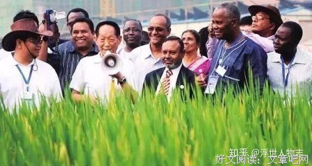 爷爷的种子读后感摘抄