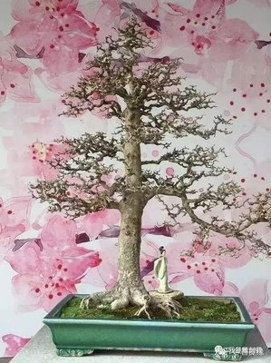 《你最珍贵》读后感精选