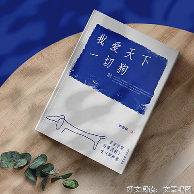 《我爱天下一切狗》读后感锦集