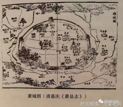 迁徙读后感100字