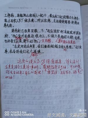 《效率崇拜》读后感100字