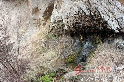 顿悟的时刻读后感摘抄