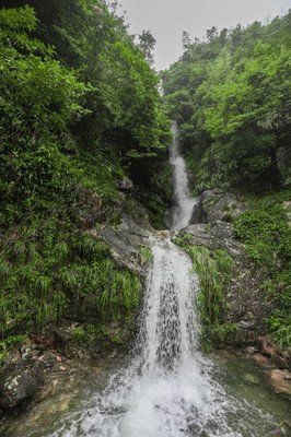 《夏日乐悠悠》经典观后感有感