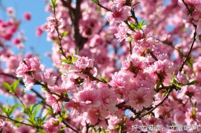 东周战争与儒法国家的诞生读后感100字