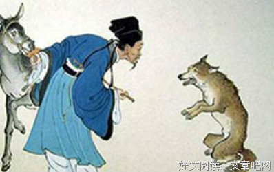 《慈悲的法则》读后感100字