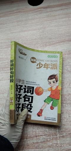 我了个爱的，小小少年。好词好句