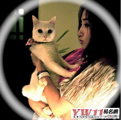 安妮宝贝语录