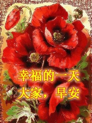 依旧在意句子